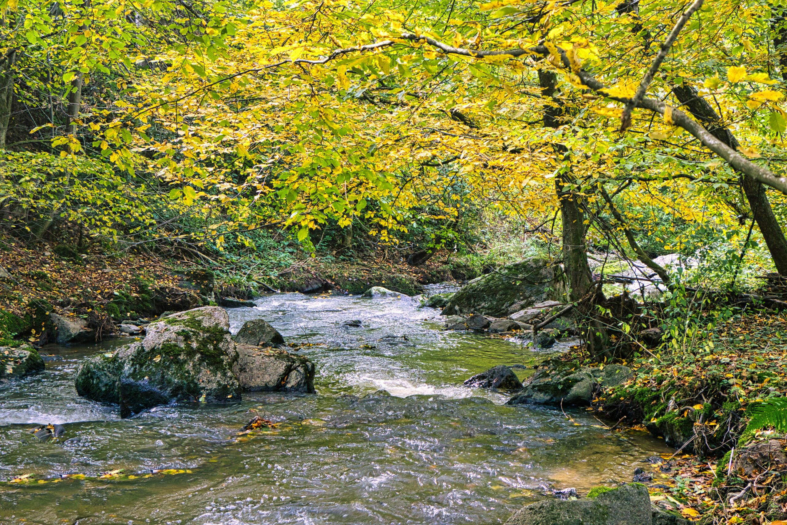 Eisbach in der Pfalz – Outdoor-Yoga und Naturcoaching mit Verena Nastoll