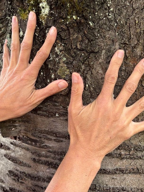 Naturcoaching in der Pfalz